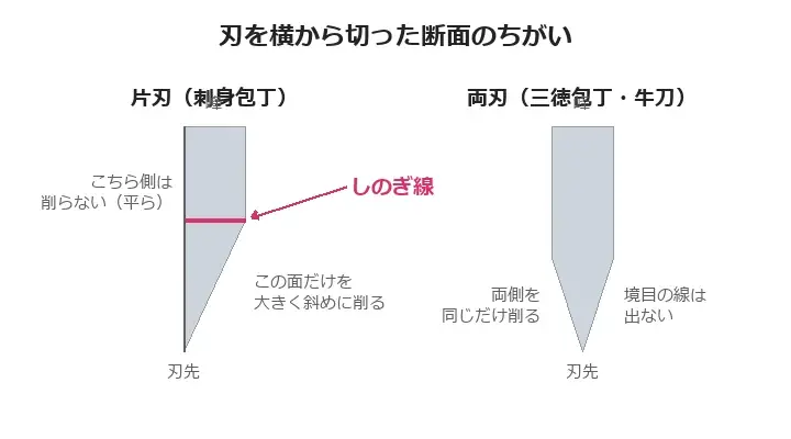 片刃と両刃の断面のちがいを比べた図。片刃は片側だけを大きく斜めに削るため、削った面と削っていない面の境目に「しのぎ線」が出る。両刃は両側を同じだけ削るのでこの線が出ない